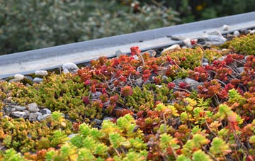 the cost of Rowlands Gill green roof installation