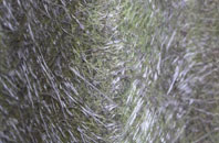 Rowlands Gill fibreglass roof work